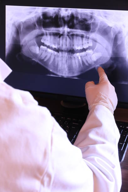 Best Emergency X-Rays and Diagnostics in Iowa Colony, TX